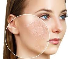 https://flycosmetics.ng